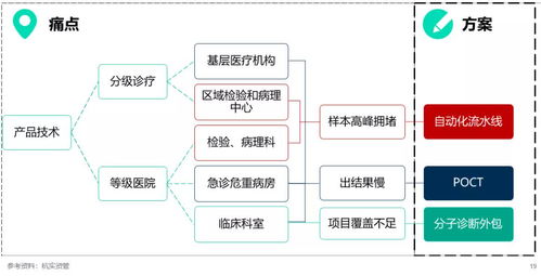 流水线 POCT 分子是行业趋势 专注 创新 质量是企业未来